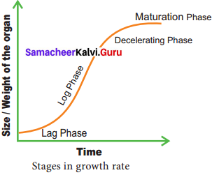 Samacheer Kalvi 11th Bio Botany Solutions Chapter 15 Plant Growth and Development 