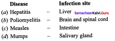 Samacheer Kalvi 12th Bio Zoology Solutions Chapter 7 Human Health and Diseases