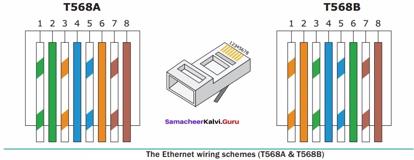 Samacheer Kalvi 12th Computer Applications Solutions Chapter 13 Network Cabling