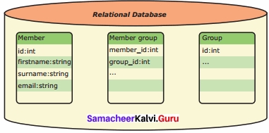 Samacheer Kalvi 12th Computer Applications Solutions Chapter 3 Introduction to Database Management System