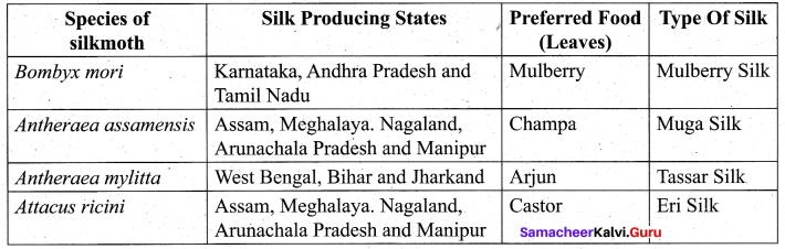 Tamil Nadu 11th Biology Model Question Paper 3 English Medium - 10