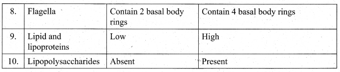 Tamil Nadu 11th Biology Model Question Paper 3 English Medium - 4