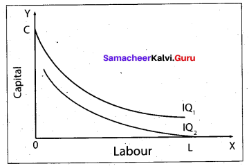 Tamil Nadu 11th Economics Model Question Paper 3 English Medium - 10