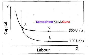 Tamil Nadu 11th Economics Model Question Paper 3 English Medium - 8
