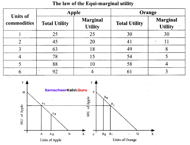 Tamil Nadu 11th Economics Model Question Paper 4 English Medium - 6