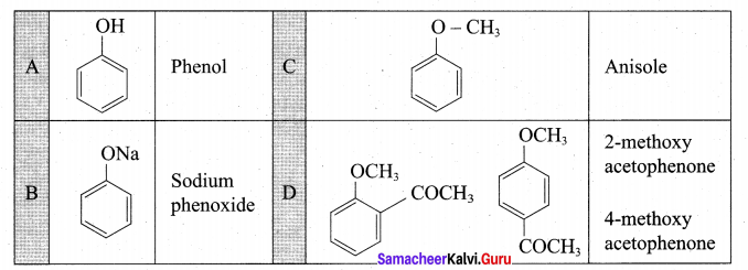 Tamil Nadu 12th Chemistry Model Question Paper 4 English Medium - 29