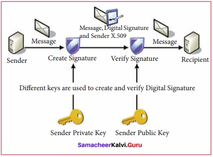 Samacheer Kalvi 11th Computer Applications Solutions Chapter 17 Computer Ethics and Cyber Security Q3
