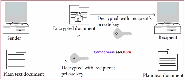 Samacheer Kalvi 11th Computer Applications Solutions Chapter 17 Computer Ethics and Cyber Security Q4.1