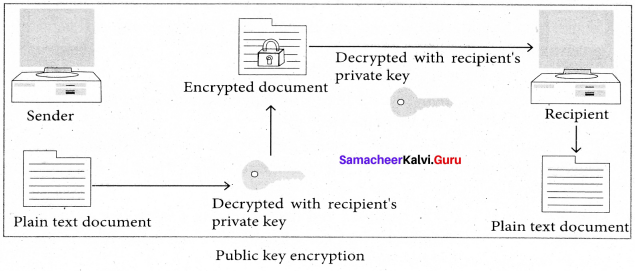 Samacheer Kalvi 11th Computer Science Solutions Chapter 17 Computer Ethics and Cyber Security