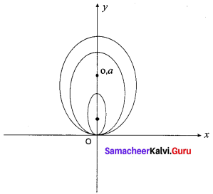 Samacheer Kalvi 12th Business Maths Solutions Chapter 4 Differential Equations Ex 4.1 Q6