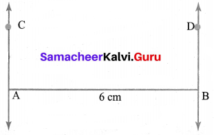 Samacheer Kalvi 6th Maths Solutions Term 2 Chapter 4 Geometry Ex 4.3 Q6