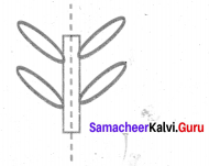 Samacheer Kalvi 6th Maths Solutions Term 3 Chapter 4 Geometry Ex 4.2 15