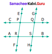 Samacheer Kalvi 6th Maths Term 1 Chapter 4 Geometry Ex 4.1 Q5