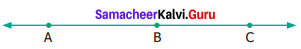 Samacheer Kalvi 6th Maths Term 1 Chapter 4 Geometry Ex 4.1 Q8