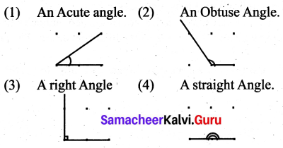 Samacheer Kalvi 6th Maths Term 1 Chapter 4 Geometry Ex 4.2 Q1.1