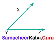 Samacheer Kalvi 6th Maths Term 1 Chapter 4 Geometry Ex 4.2 Q11