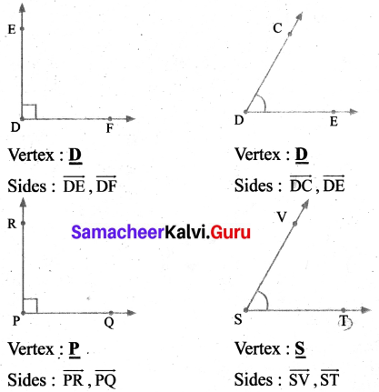 Samacheer Kalvi 6th Maths Term 1 Chapter 4 Geometry Ex 4.2 Q2.1