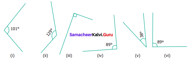 Samacheer Kalvi 6th Maths Term 1 Chapter 4 Geometry Ex 4.2 Q5