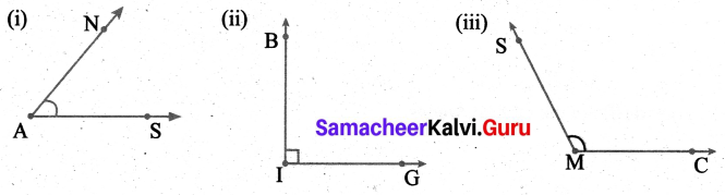 Samacheer Kalvi 6th Maths Term 1 Chapter 4 Geometry Ex 4.2 Q8