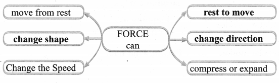 Samacheer Kalvi 6th Science Solutions Term 1 Chapter 2 Force and Motion 12