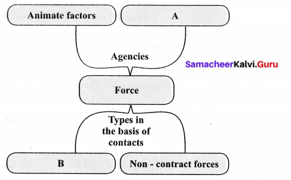 Samacheer Kalvi 6th Science Solutions Term 1 Chapter 2 Force and Motion 23