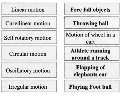 Samacheer Kalvi 6th Science Solutions Term 1 Chapter 2 Force and Motion 8