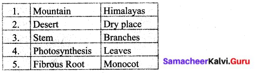 Samacheer Kalvi 6th Science Solutions Term 1 Chapter 4 The Living World of Plants 2