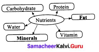 Samacheer Kalvi 6th Science Solutions Term 1 Chapter 6 Health and Hygiene 2