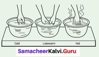 Samacheer Kalvi 6th Science Solutions Term 2 Chapter 1 Heat 1