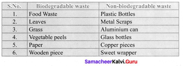 Samacheer Kalvi 6th Science Solutions Term 3 Chapter 4 Our Environment 7
