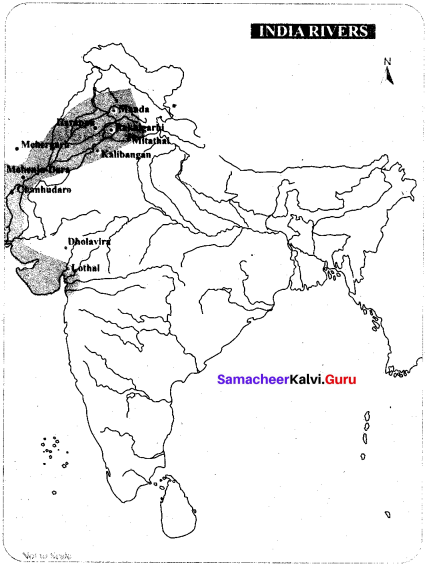 Samacheer Kalvi 6th Social Science History Solutions Term 1 Chapter 3 Indus Civilisation image - 3