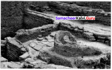 Samacheer Kalvi 6th Social Science History Solutions Term 1 Chapter 4 Ancient cities of tamilagam image - 1