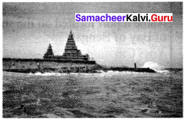 Samacheer Kalvi 6th Social Science History Solutions Term 1 Chapter 4 Ancient cities of tamilagam image - 4