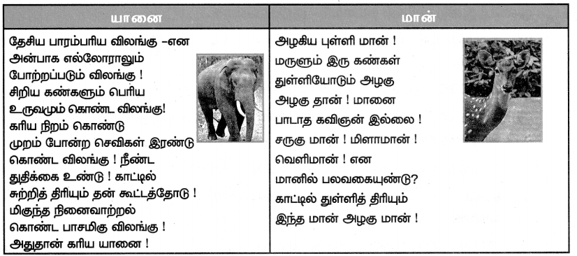 Samacheer Kalvi 7th Tamil Solutions Term 1 Chapter 2.3 விலங்குகள் உலகம் - 2