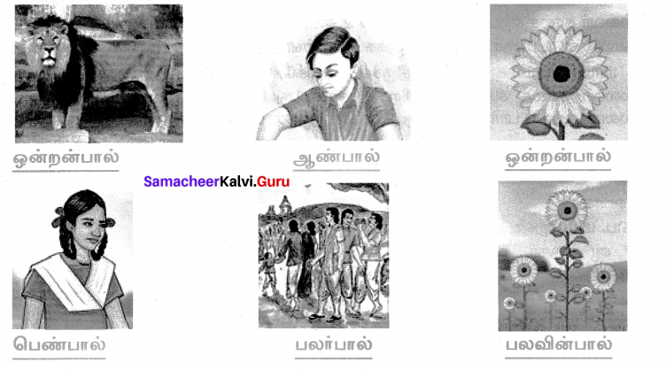 Samacheer Kalvi 7th Tamil Solutions Term 1 Chapter 2.5 நால்வகைக் குறுக்கங்கள் - 1