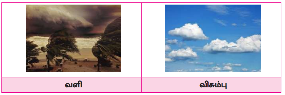 Samacheer Kalvi 8th Tamil Solutions Chapter 1.2 தமிழ்மொழி மரபு 2