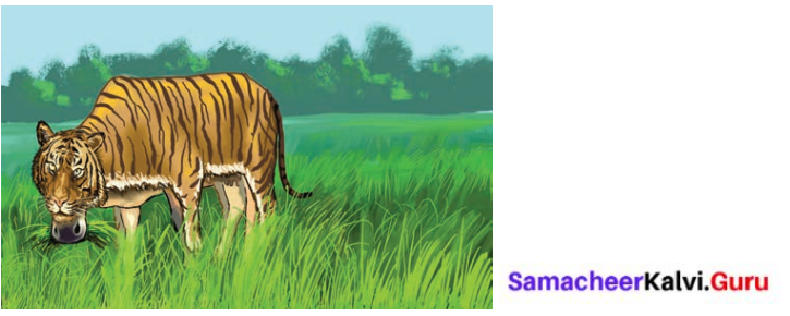 Samacheer Kalvi 8th Tamil Solutions Chapter 2.6 திருக்குறள் 1