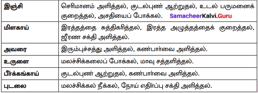 Samacheer Kalvi 8th Tamil Solutions Chapter 3.5 எச்சம் 6