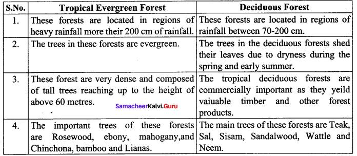 Samacheer Kalvi 10th Social Science Geography Solutions Chapter 2 Climate and Natural Vegetation of India 85
