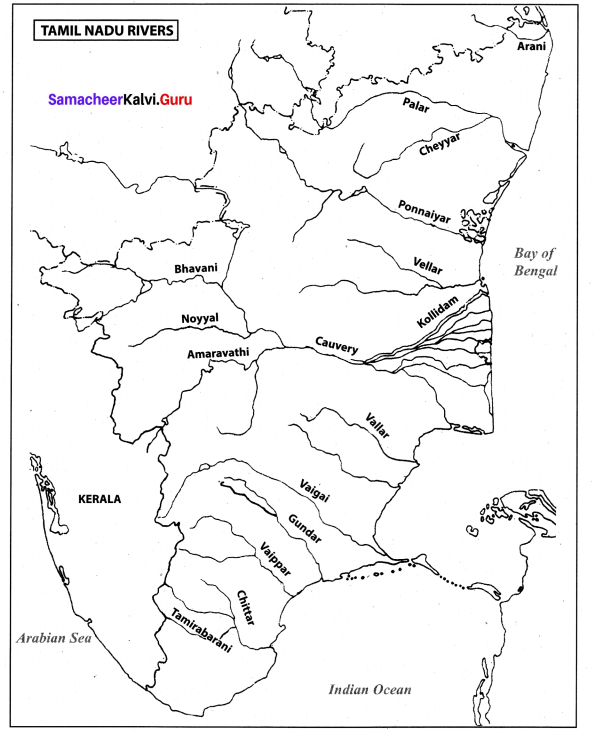 Samacheer Kalvi 10th Social Science Geography Solutions Chapter 6 Physical Geography of Tamil Nadu 2
