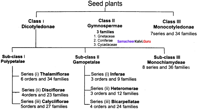 Samacheer Kalvi 11th Bio Botany Solutions Chapter 5 Taxonomy and Systematic Botany 18