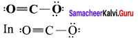 Samacheer Kalvi 11th Chemistry Solutions Chapter 10 Chemical Bonding-103