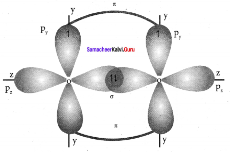 Samacheer Kalvi 11th Chemistry Solutions Chapter 10 Chemical Bonding-144