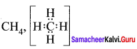 Samacheer Kalvi 11th Chemistry Solutions Chapter 10 Chemical Bonding-156