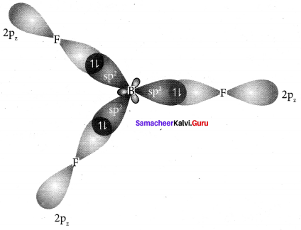 Samacheer Kalvi 11th Chemistry Solutions Chapter 10 Chemical Bonding-16