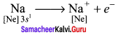 Samacheer Kalvi 11th Chemistry Solutions Chapter 10 Chemical Bonding-163