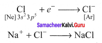 Samacheer Kalvi 11th Chemistry Solutions Chapter 10 Chemical Bonding-164