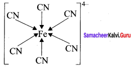 Samacheer Kalvi 11th Chemistry Solutions Chapter 10 Chemical Bonding-168