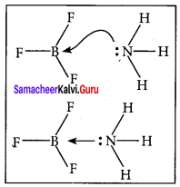 Samacheer Kalvi 11th Chemistry Solutions Chapter 10 Chemical Bonding-169