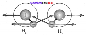 Samacheer Kalvi 11th Chemistry Solutions Chapter 10 Chemical Bonding-170